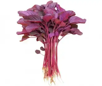 Vegetables