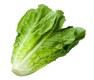 Vegetables