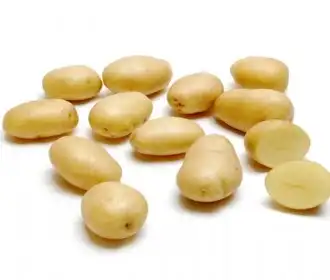 Vegetables