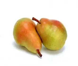 Vegetables