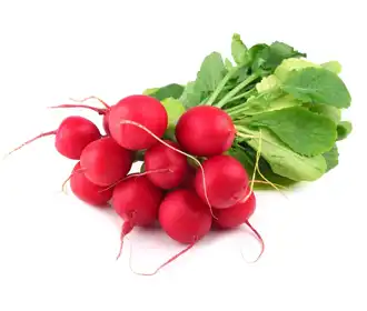 Vegetables