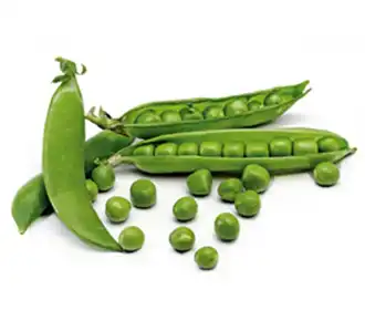 Vegetables
