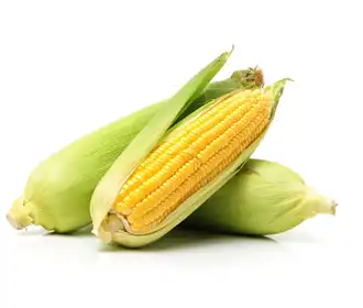 Vegetables
