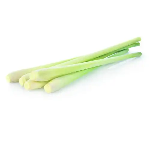 Vegetables