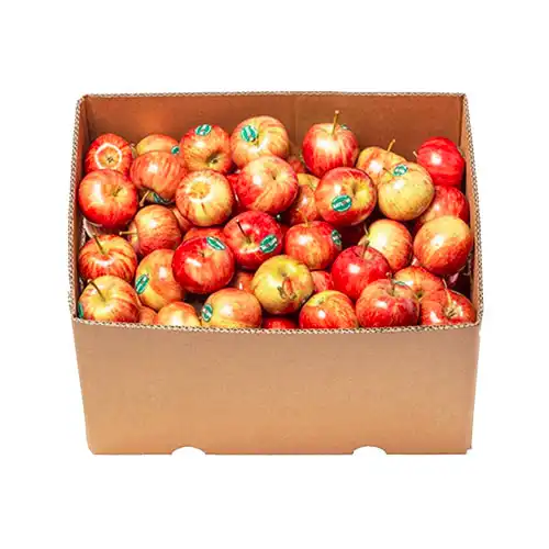 Vegetables