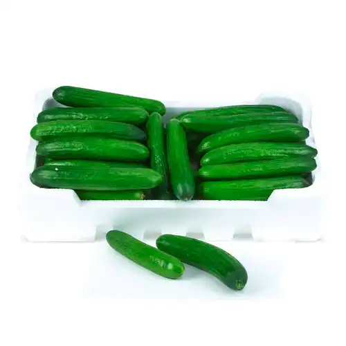 Vegetables