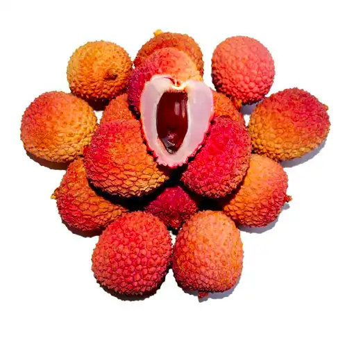 Vegetables