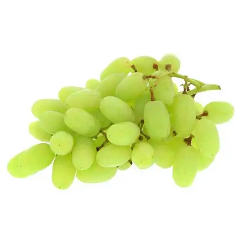 Vegetables