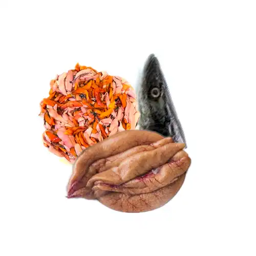 Head & Egg